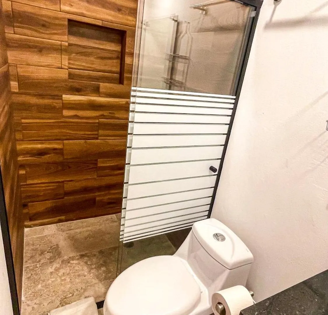 פלאייה דל כרמן Green Savage Studio 1Br Rooftop דירה